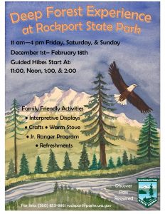 The Deep Forest Experience at Rockport State Park